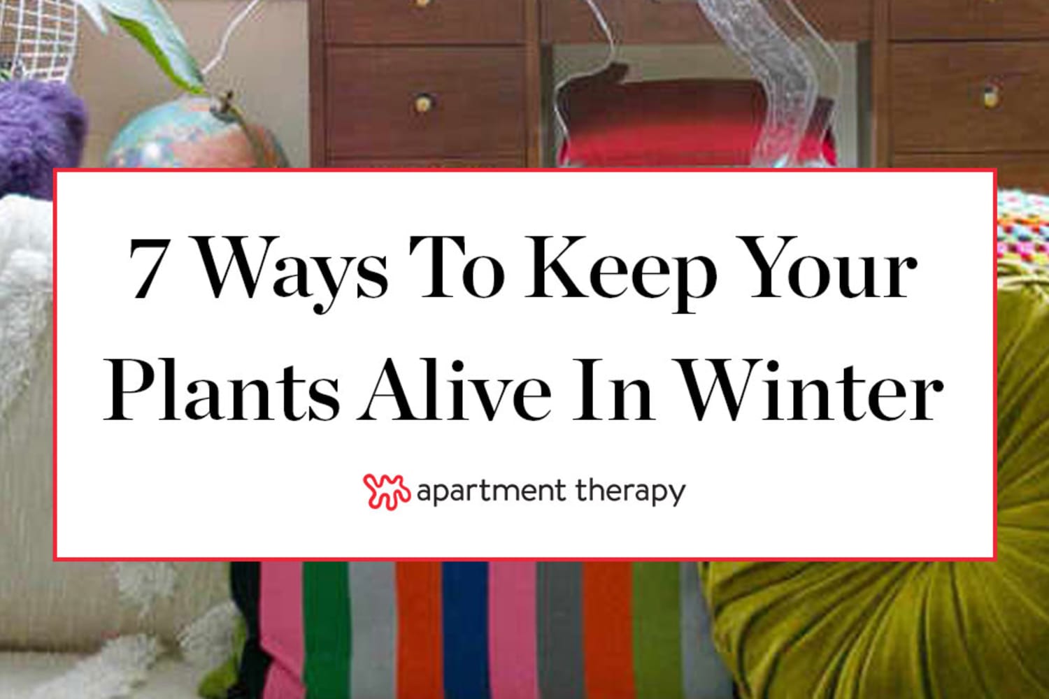 How to Protect Plants in Winter Apartment Therapy